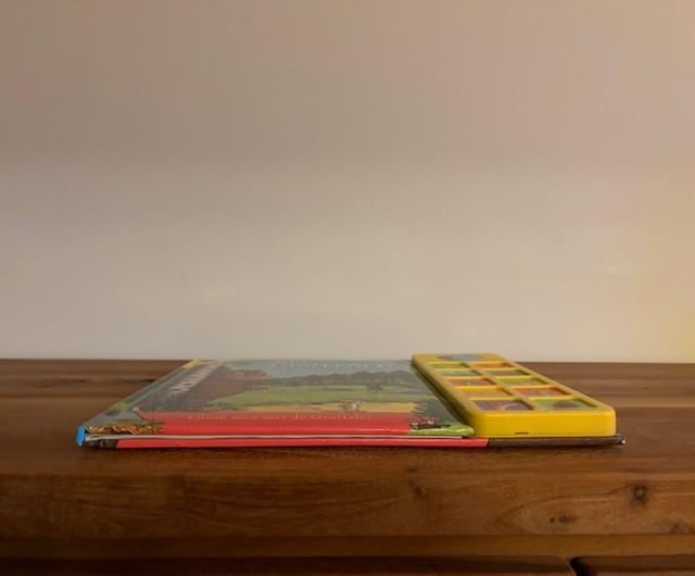 Het Gruffalo Geluidenboek | Julia Donaldson & Alex Scheffler