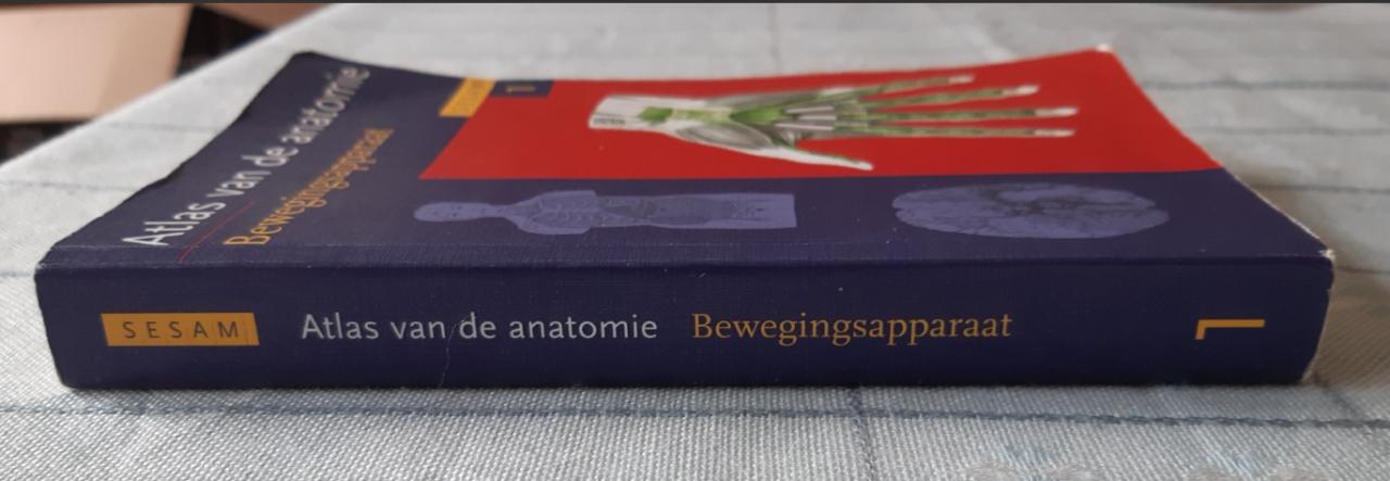 Sesam atlas van de anatomie  deel 1: bewegingsapparaat