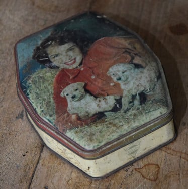 Blik G.W. Horner  Puppies Nostalgisch Vintage