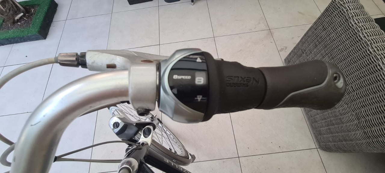 Gazelle Chamonix Excellent 65 cm