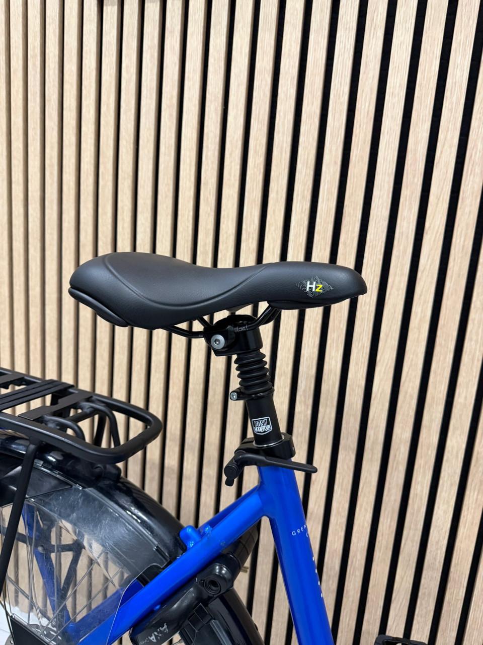 Gazelle Grenoble C8 Bosch Active Line Plus 400Wh 53CM