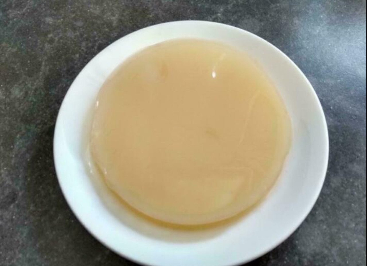 Kombucha scoby’s/zwammen