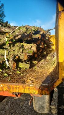 Openhaard hout/ fruitstammen perenhout