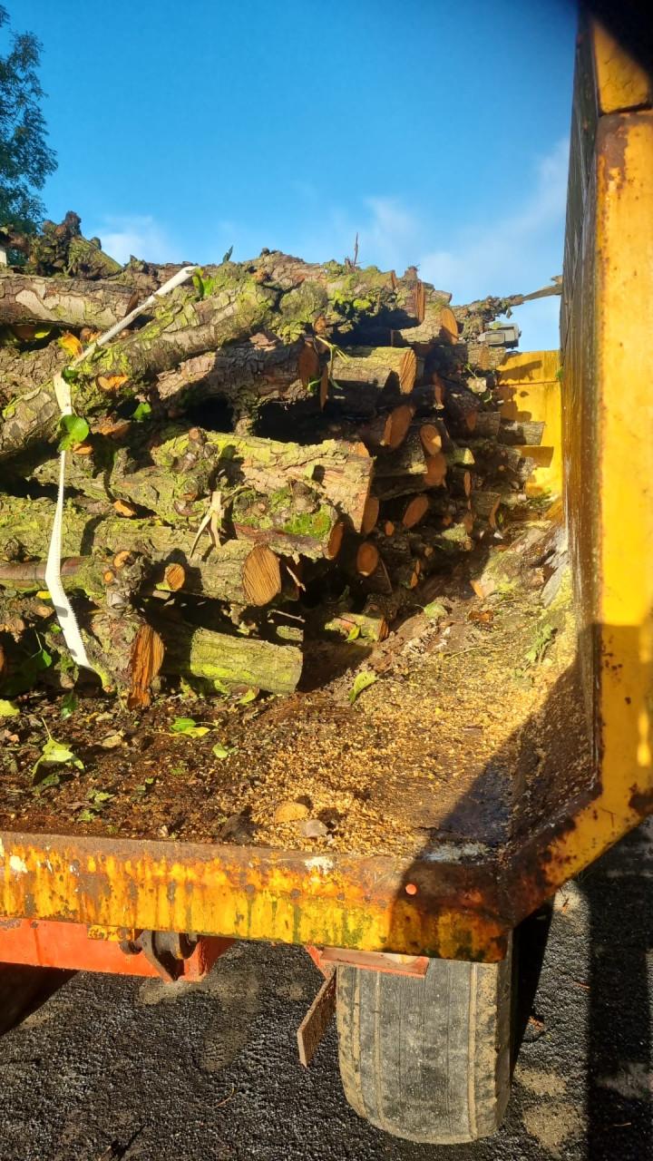 Openhaard hout/ fruitstammen perenhout