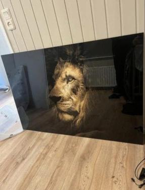 Glazen leeuwen schilderij