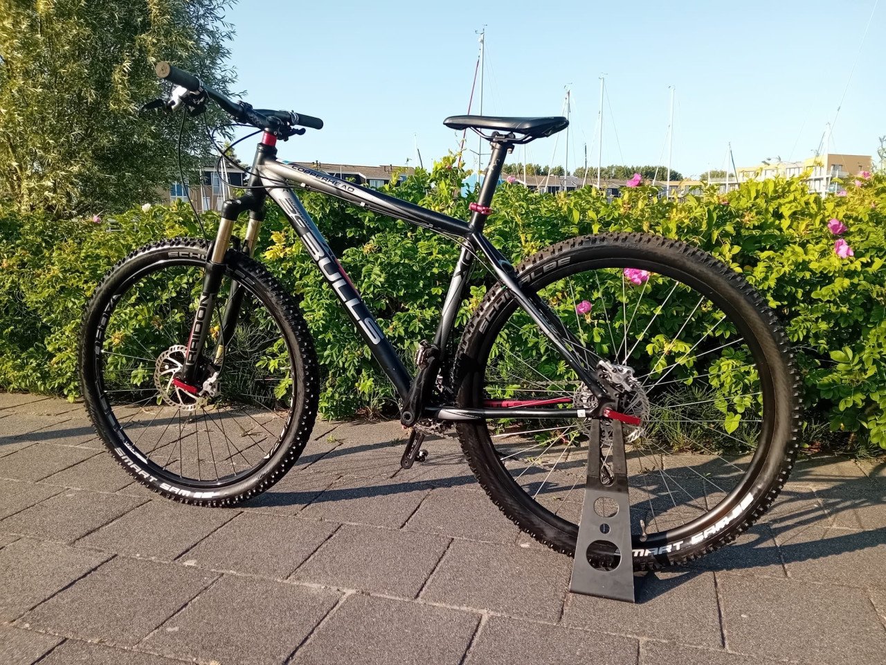 Stoere BULLS MTB 29er