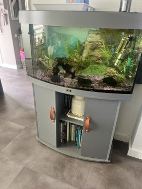Te koop aquarium juwel vision 180