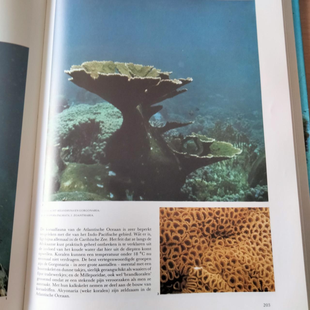 2 Prachtige boeken over de natuur.