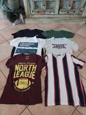 6 heren(merk)t-shirts mt small o.a Levi's