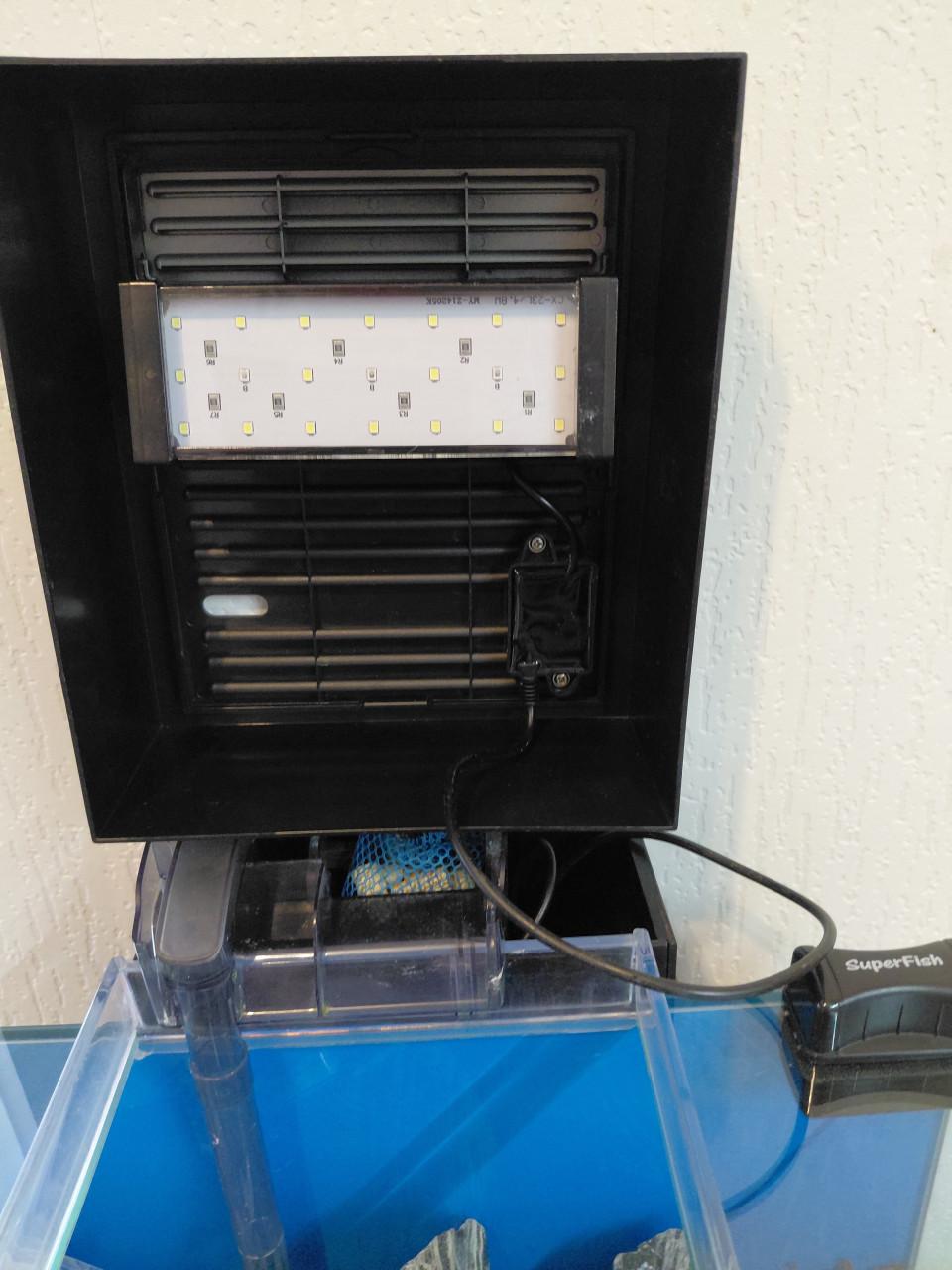 Fluval edge nieuw staat