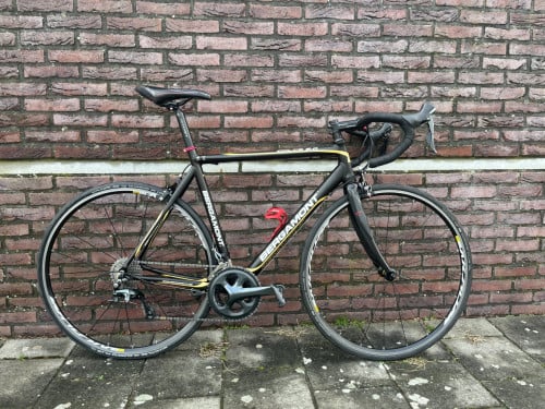 Bergamont Dolce 6.0 56 cm