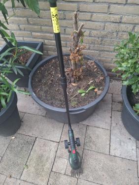 Grastimmer