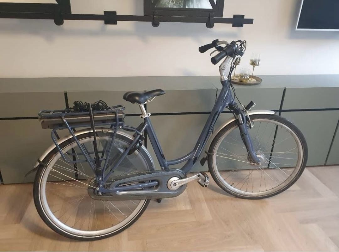 UITZOEKEN | Elektrische fietsen tussen de 350 en 750euro.