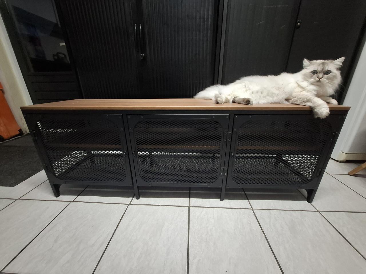 Modern industrieel TV meubel