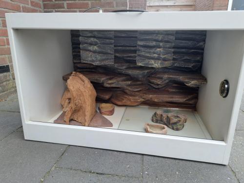 Terarium