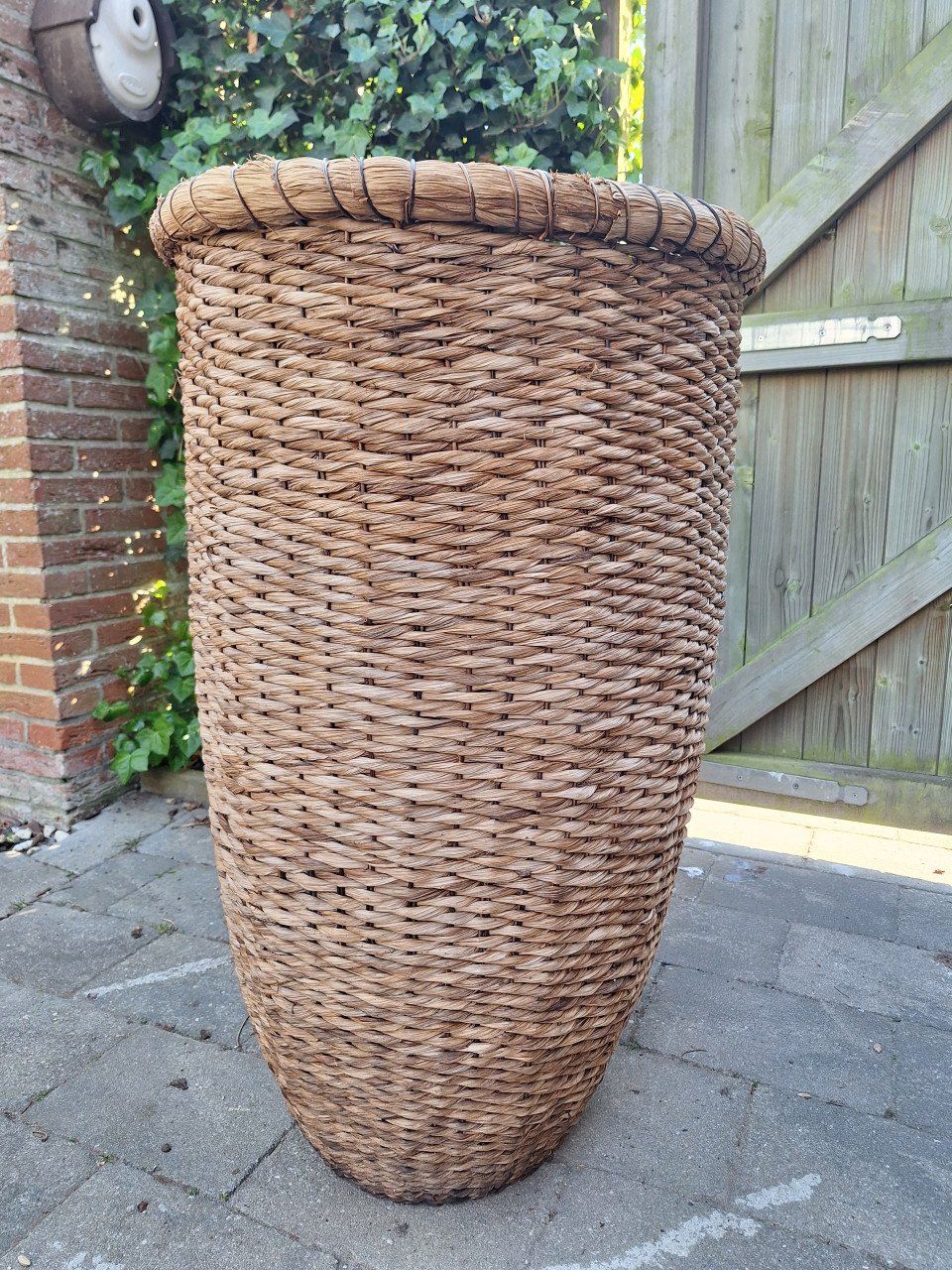 Planten mand