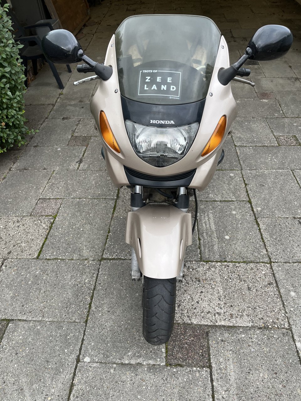 Motor