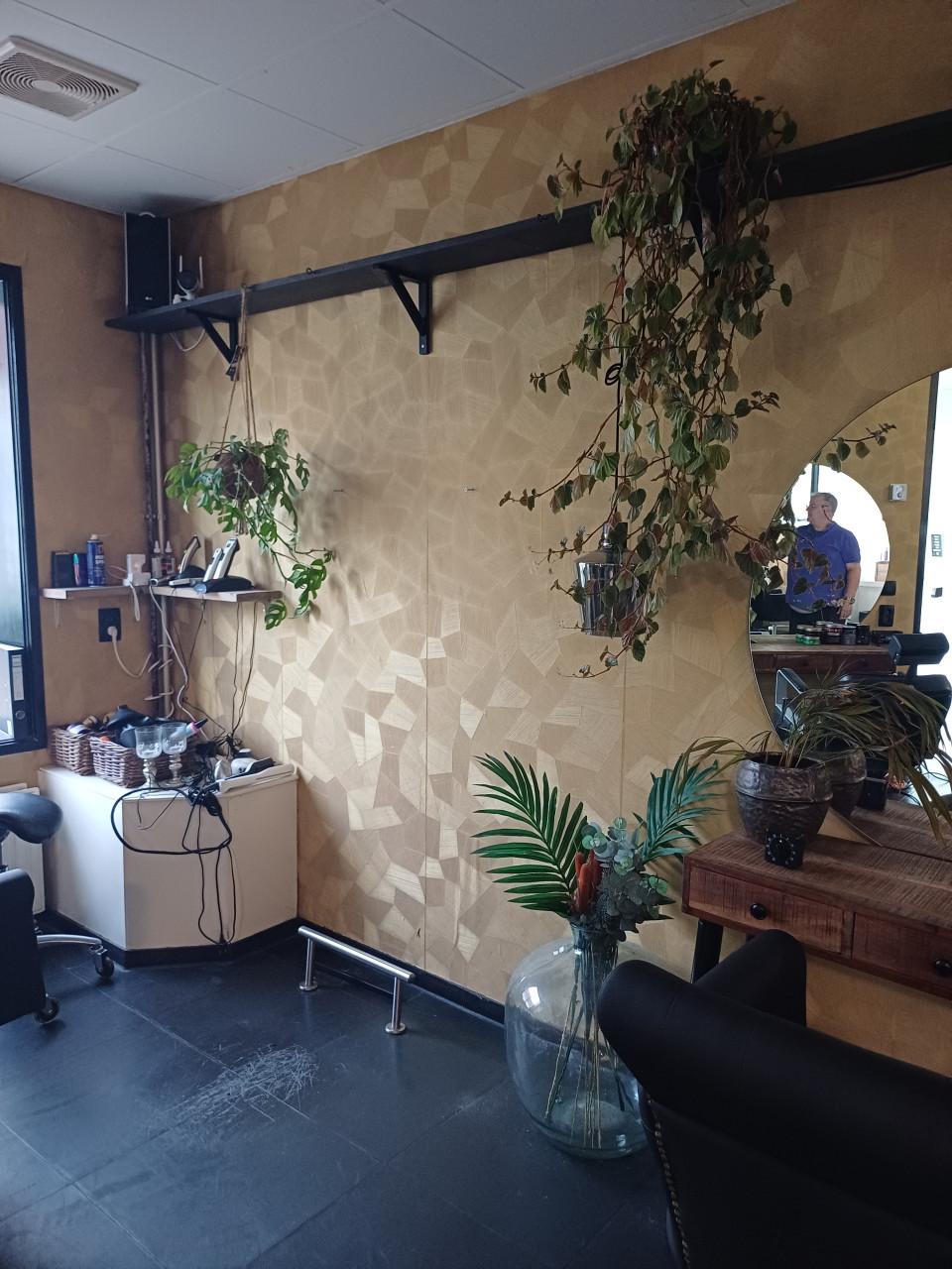 Klusser biedt zich aan