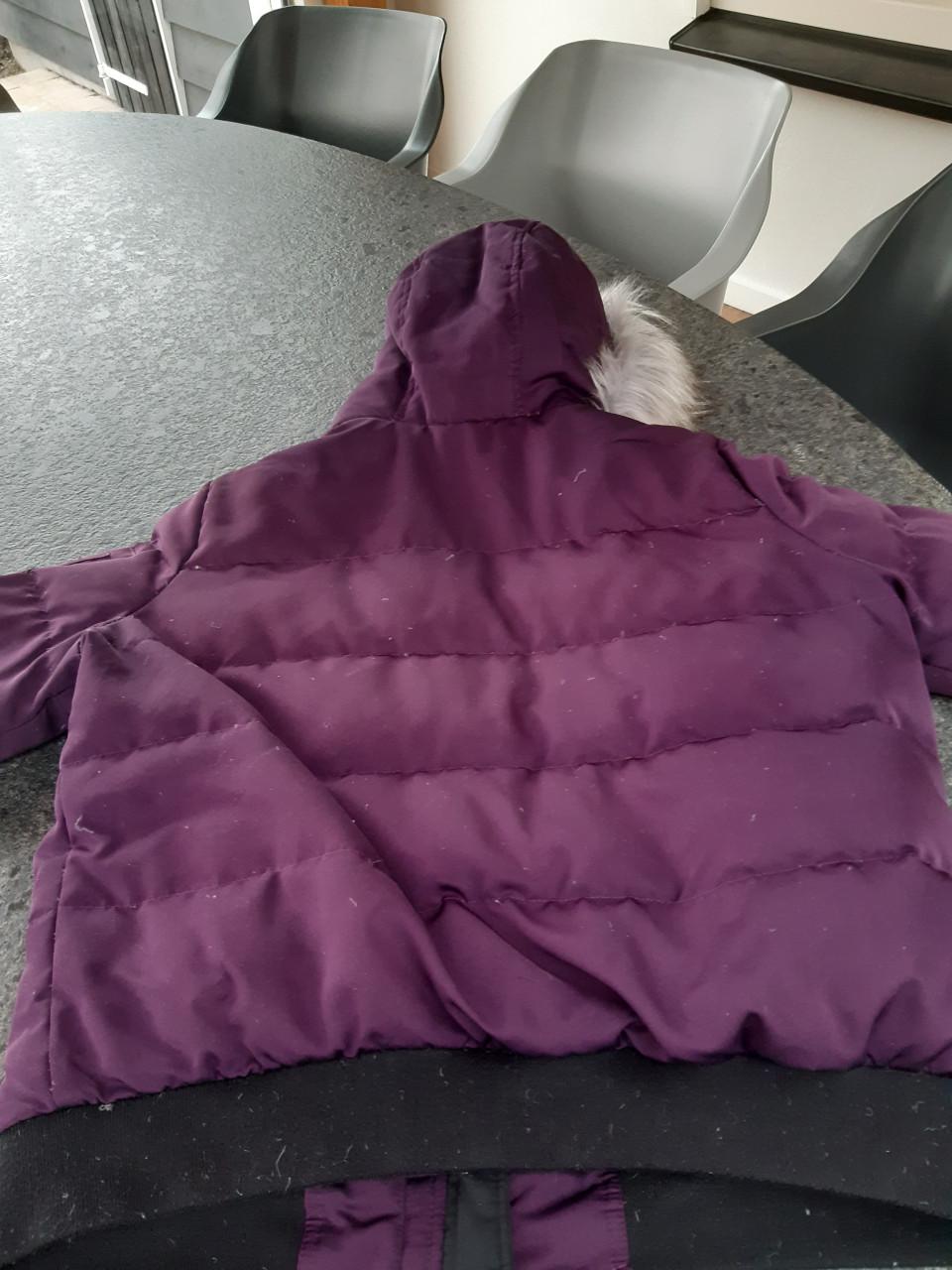 Winter jas winterjas hollister als nieuw XL 44 46 paars dons bont jas