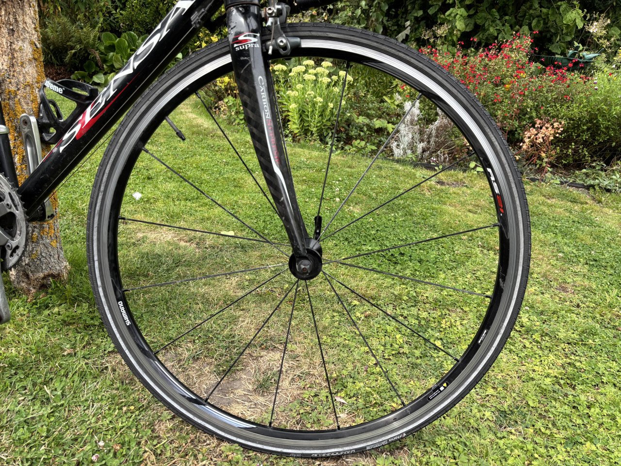 Sensa Umbria Tiagra - Racefiets