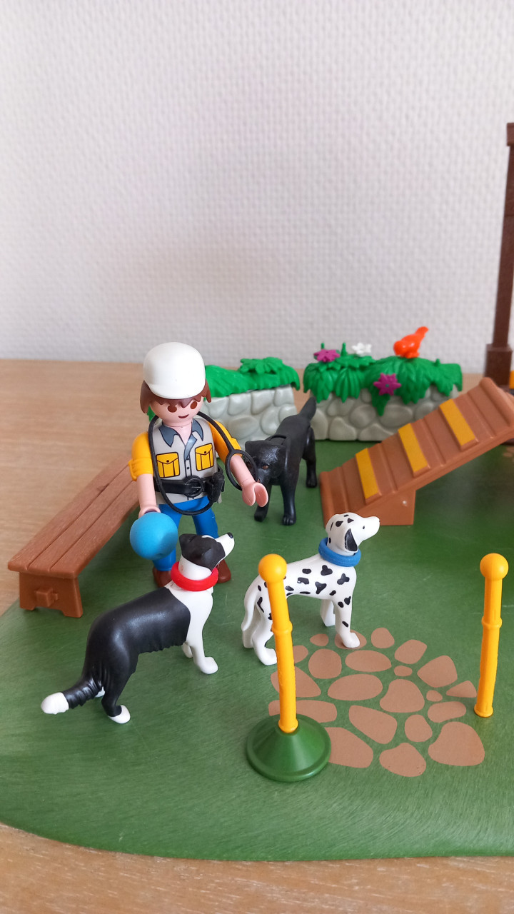 Playmobil hondenschool setnr 6145