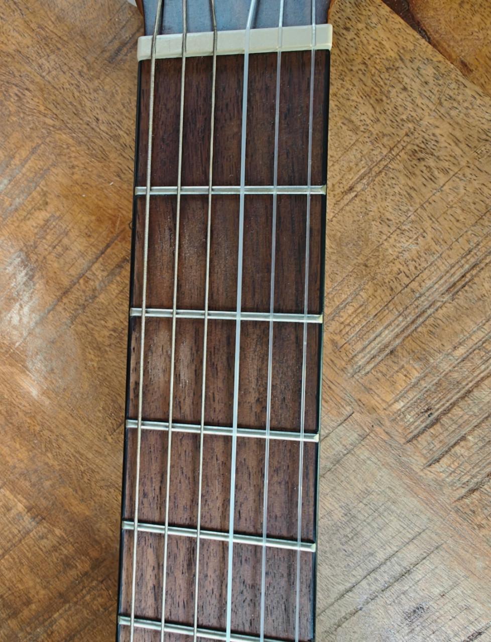 Gitaar ortega family pro r131