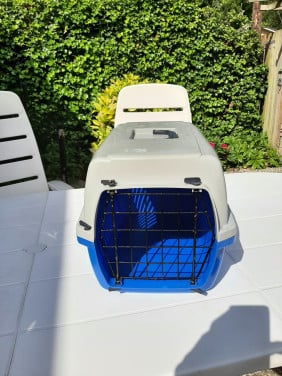 Katten reismand