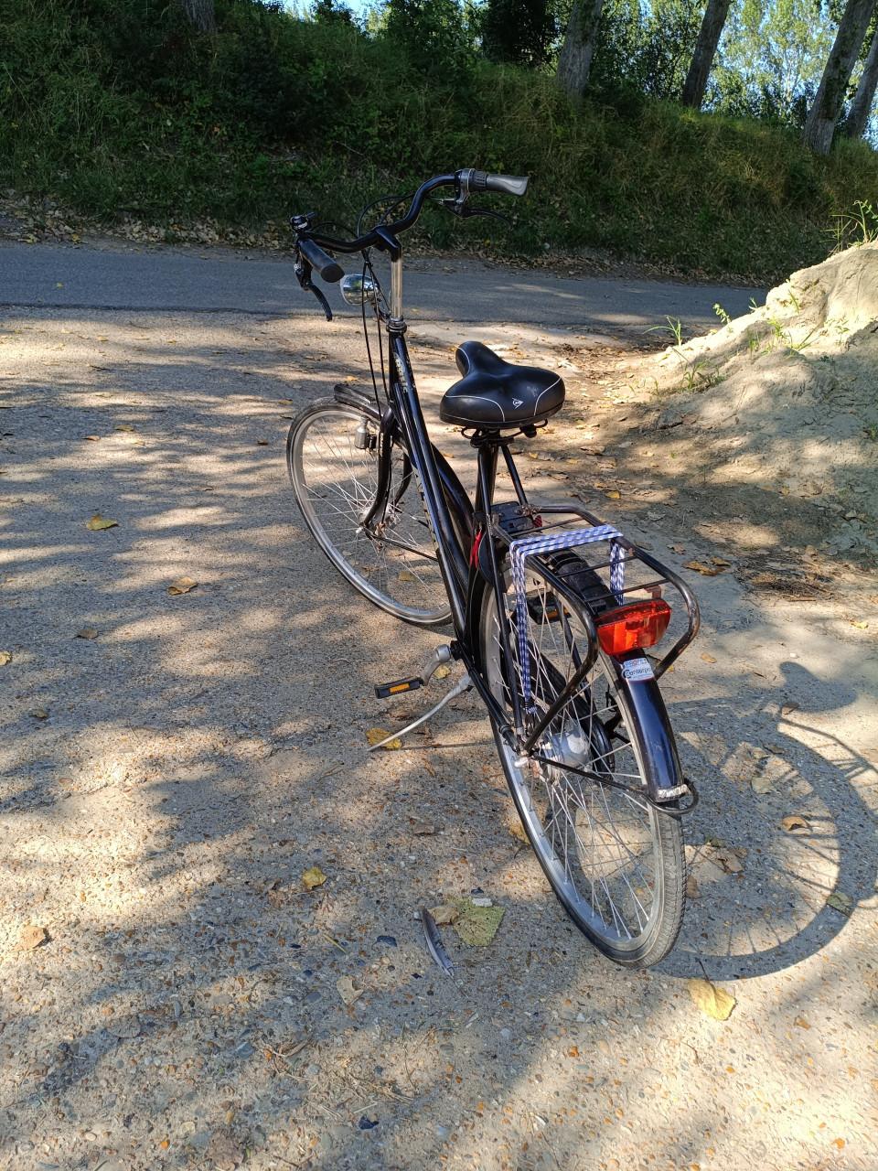 Dames fiets