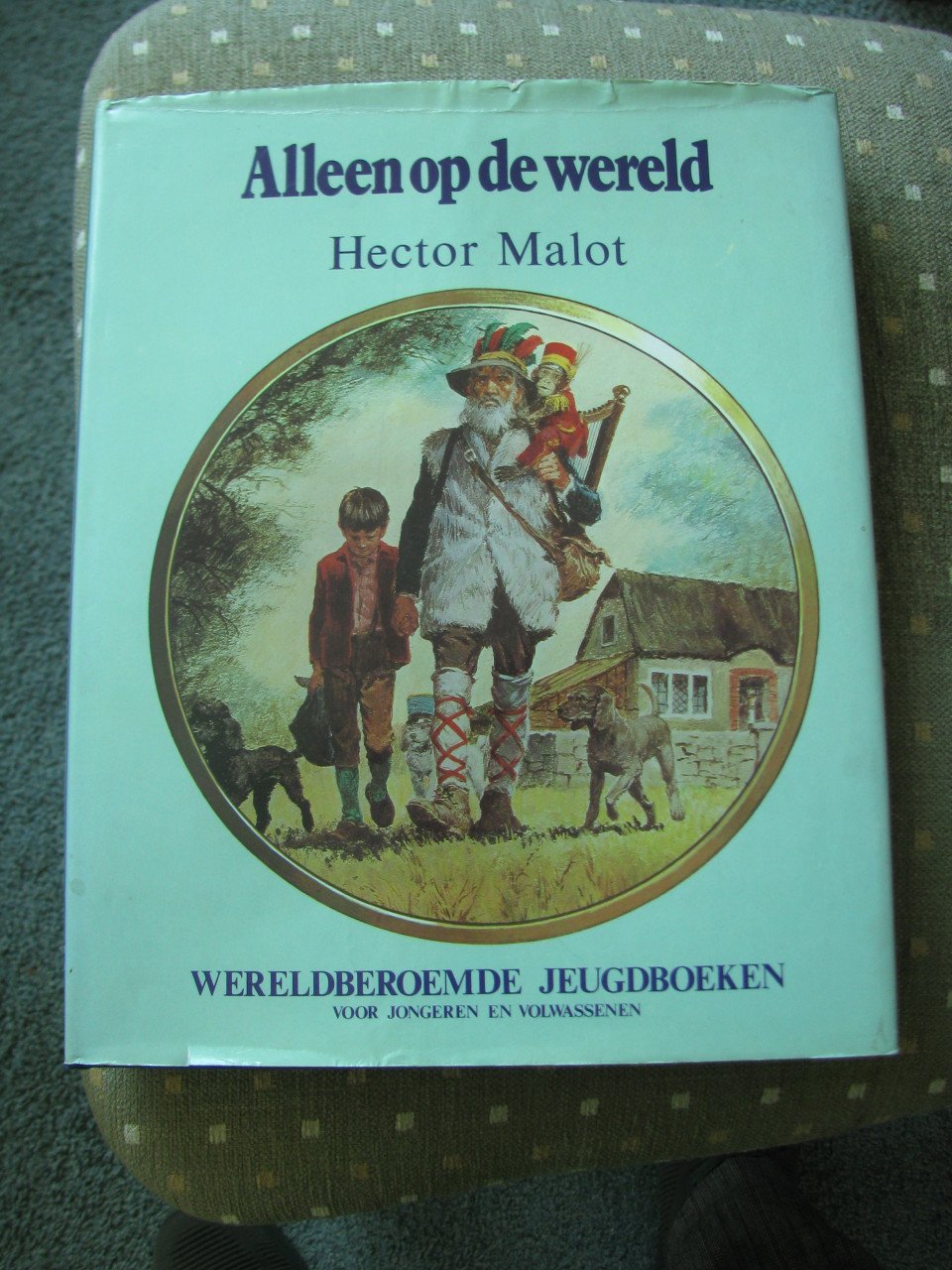 Jeugdboeken.