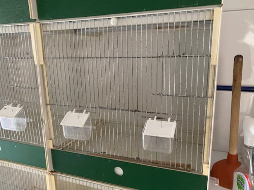 Te Koop luxe grote volière en broedkooien, merk Heesakker