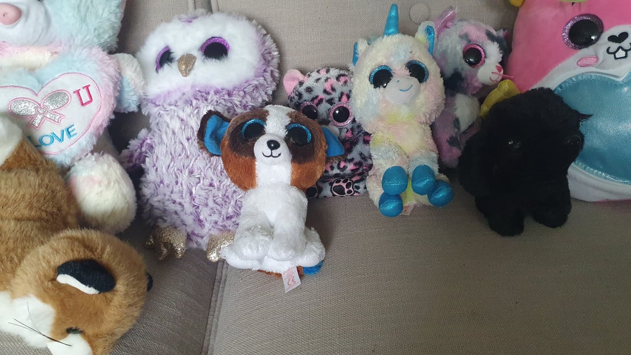Ty knuffels