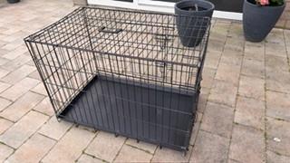 Bench voor middelgrote hond.