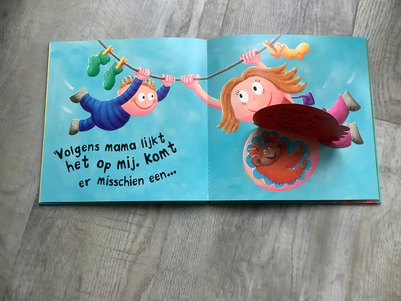 Boek, wat zit er in je buik mama