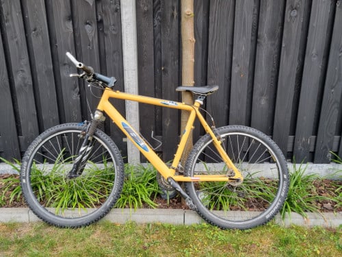 Mountainbike (heren)