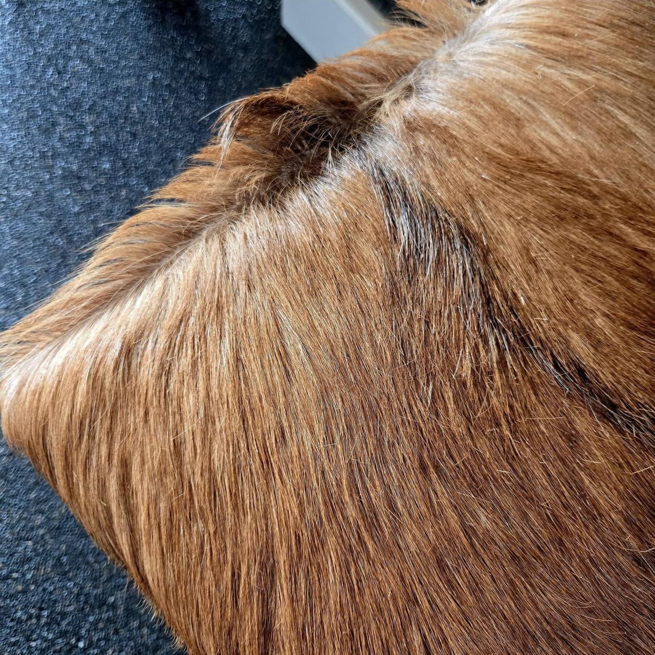 Prachtig echt geitenhuid krukje