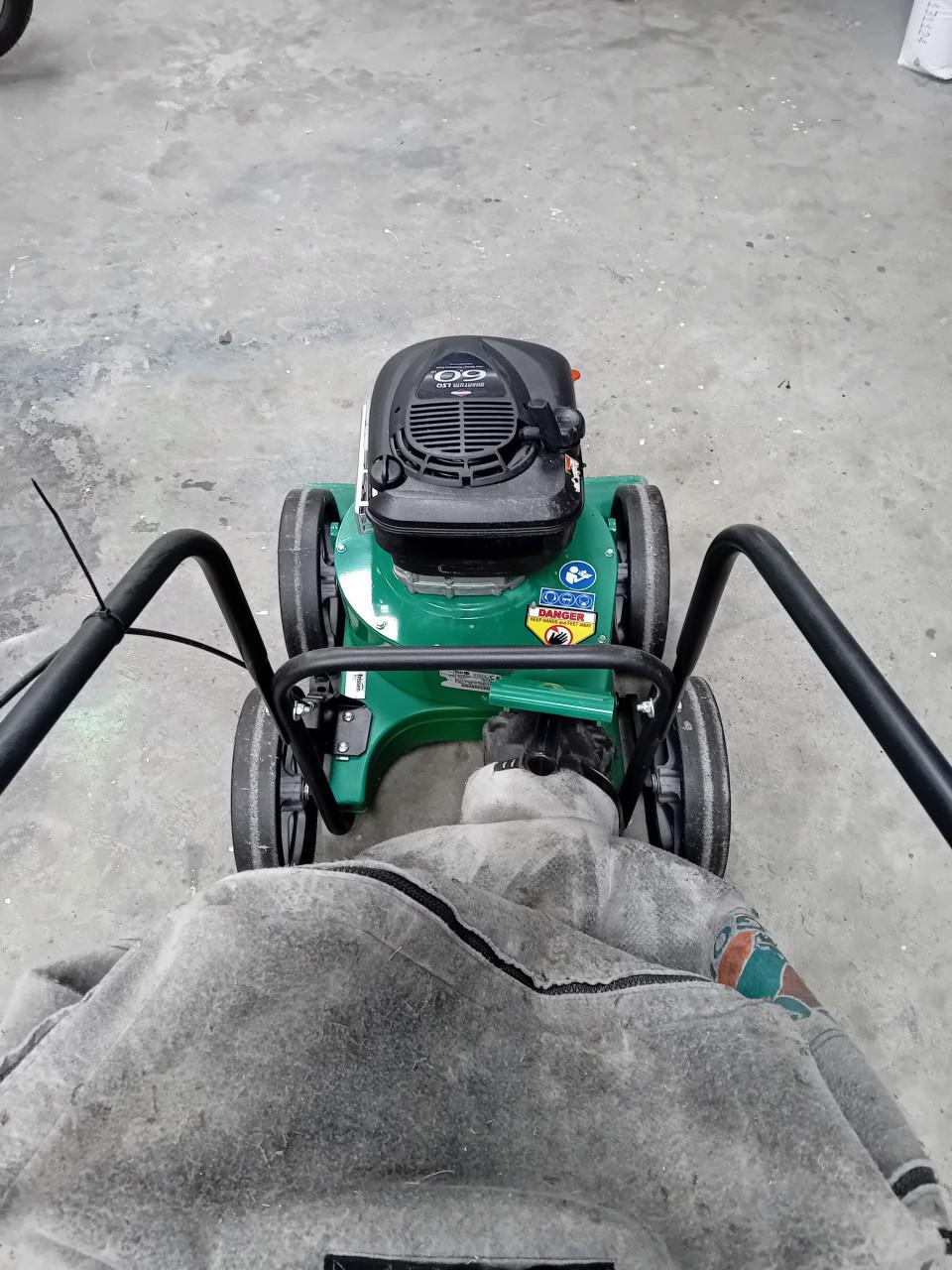 Mooie bladzuiger Billygoat