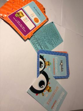 Squla rekenen schatten spel