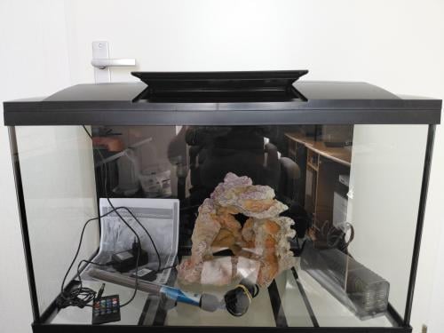 Superfisch start 100 als nieuw