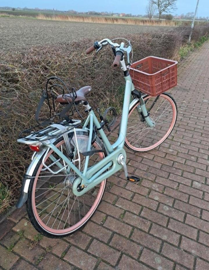 Gazelle Orange C7+ Damesfiets - Framemaat 53 8 versnellingen