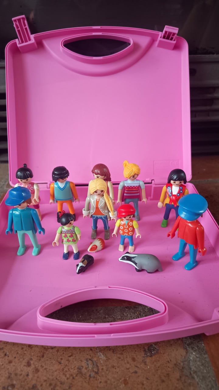 Playmobil set – 10 figuren + dieren in roze koffer