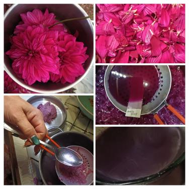 Wildplukwinterwandeling