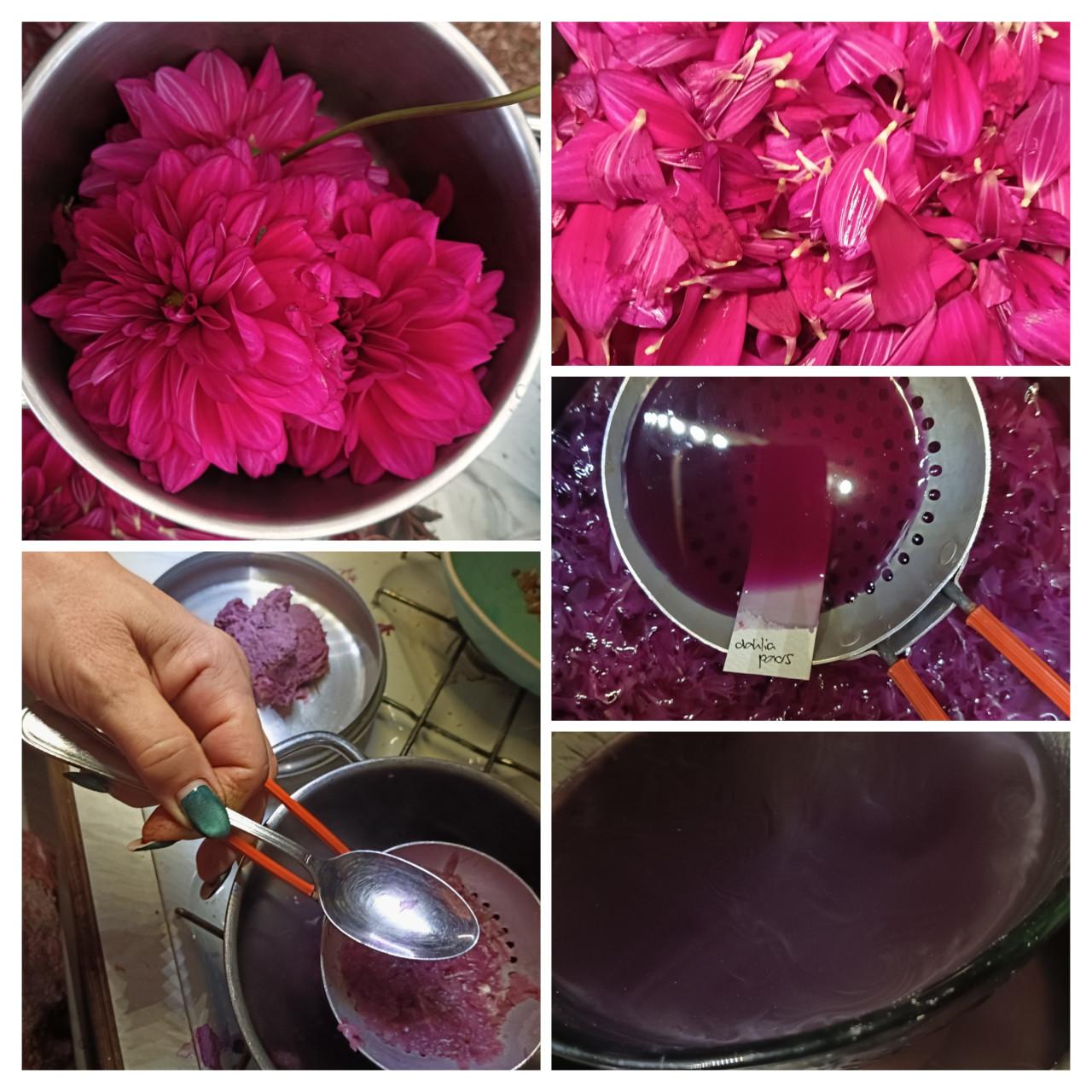 Wildplukwinterwandeling