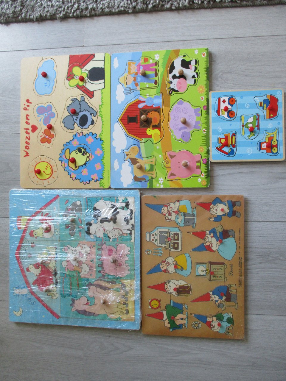 10 houten puzzels compleet