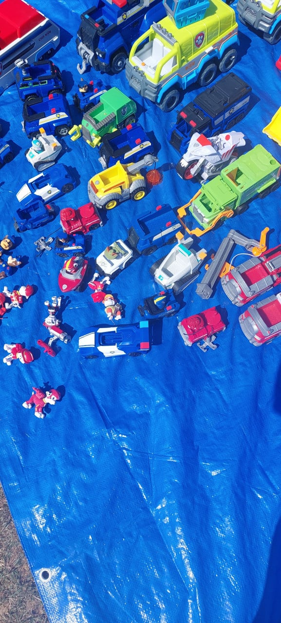 Paw patrol
