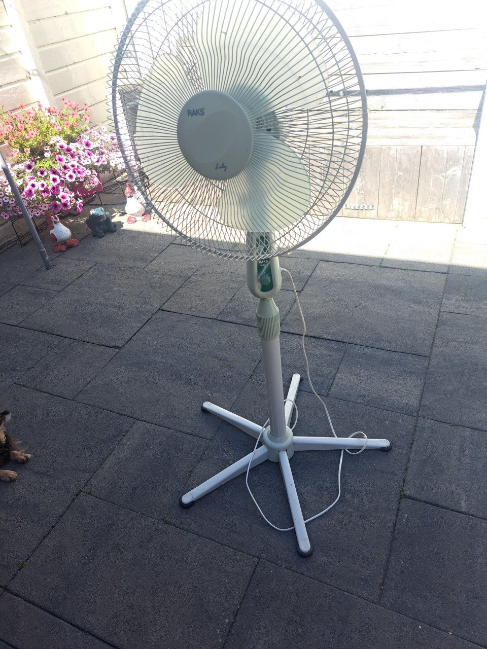 Ventilator