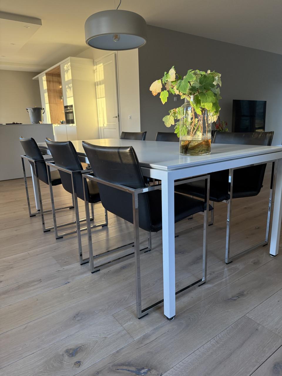 Eetkamertafel Metaform S16 met Arco Frame stoelen