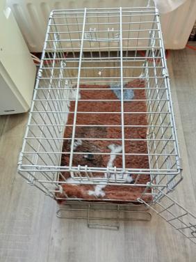 Bench voor kleine honden en pups inclusief nieuwe vetdeken.