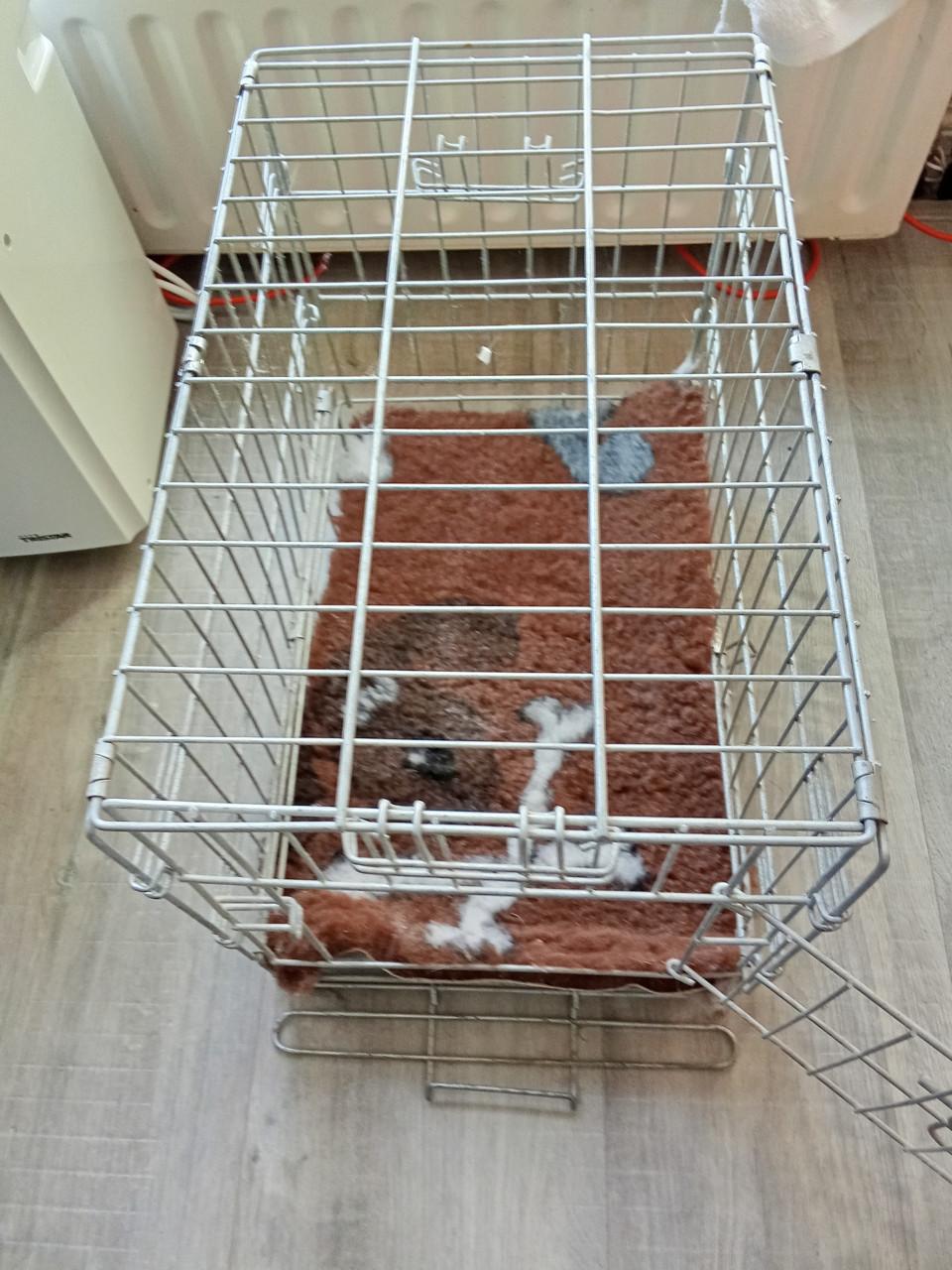 Bench voor kleine honden en pups inclusief nieuwe vetdeken.