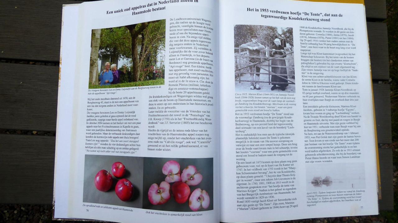 2014 Trugkieke in de historie van Burgh en Haamstede Wim de Vrieze e.a. dl2