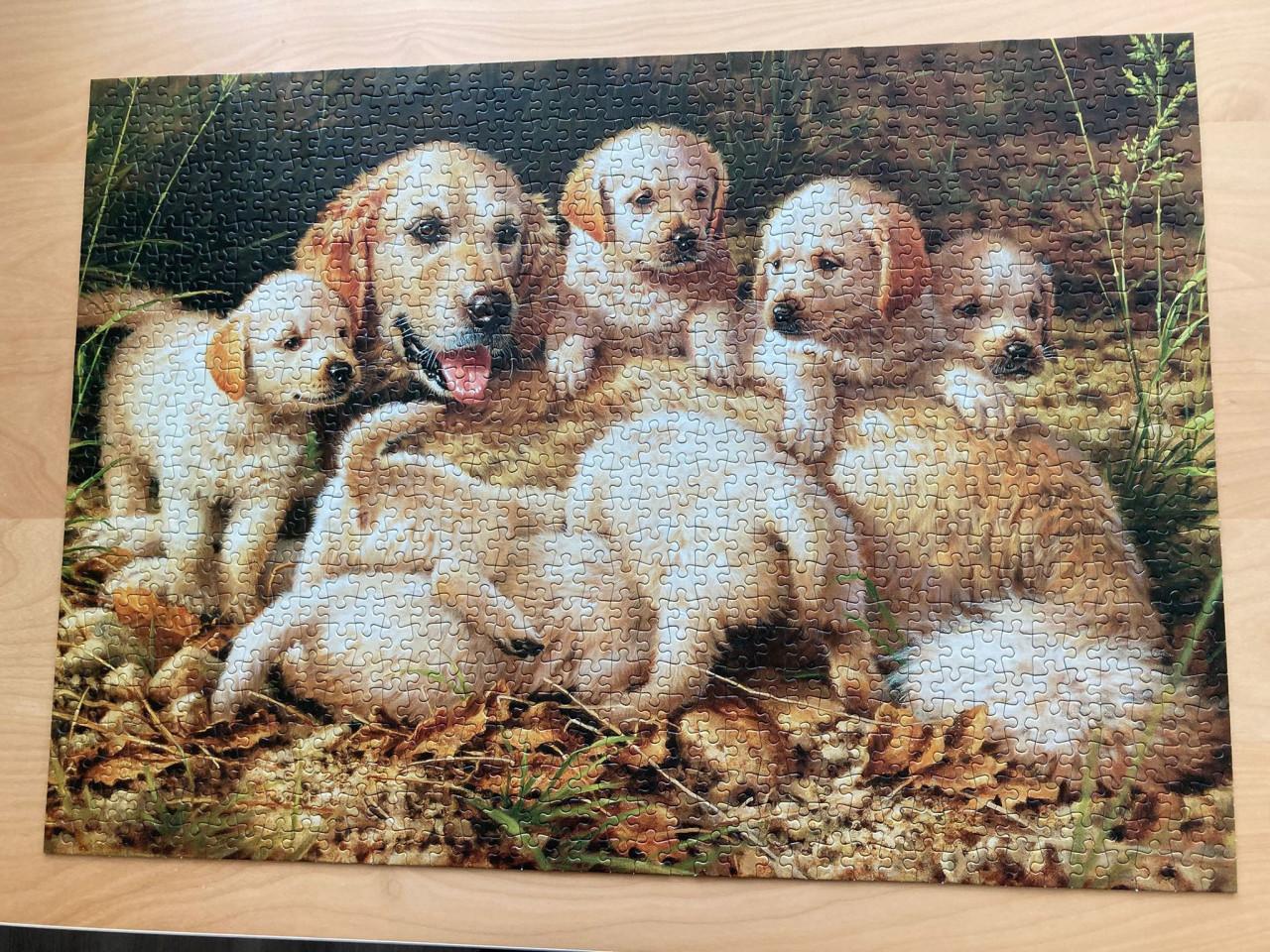 Hondenpuzzel